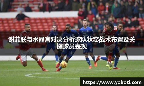 谢菲联与水晶宫对决分析球队状态战术布置及关键球员表现